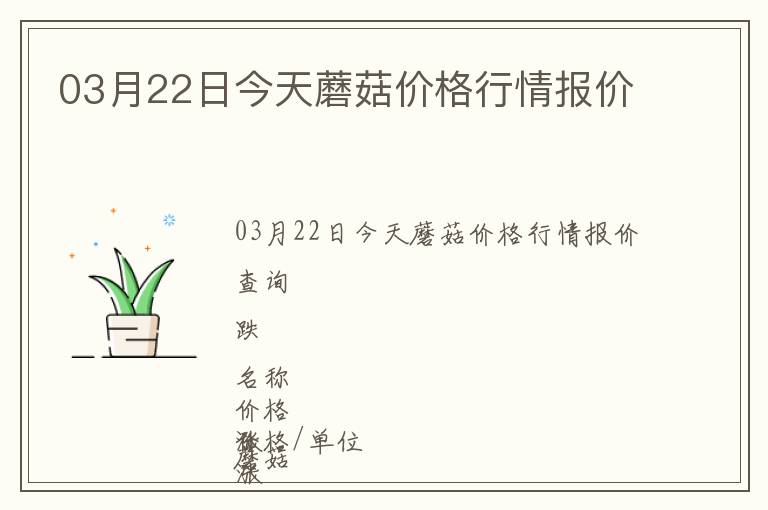 03月22日今天蘑菇價格行情報價