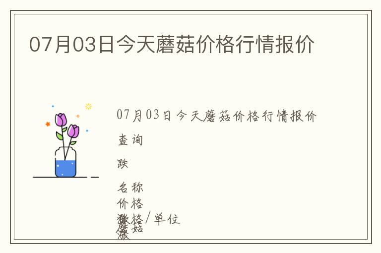 07月03日今天蘑菇價格行情報價