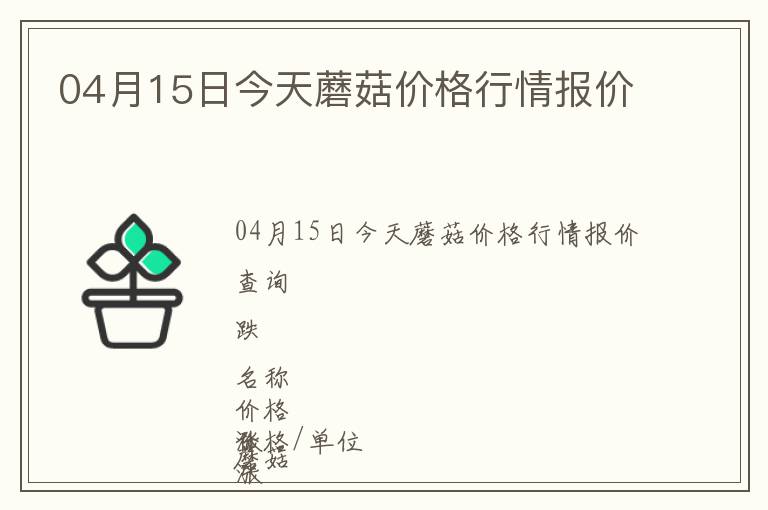 04月15日今天蘑菇價格行情報價