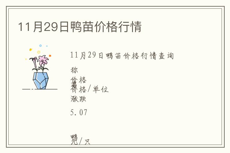 11月29日鴨苗價格行情