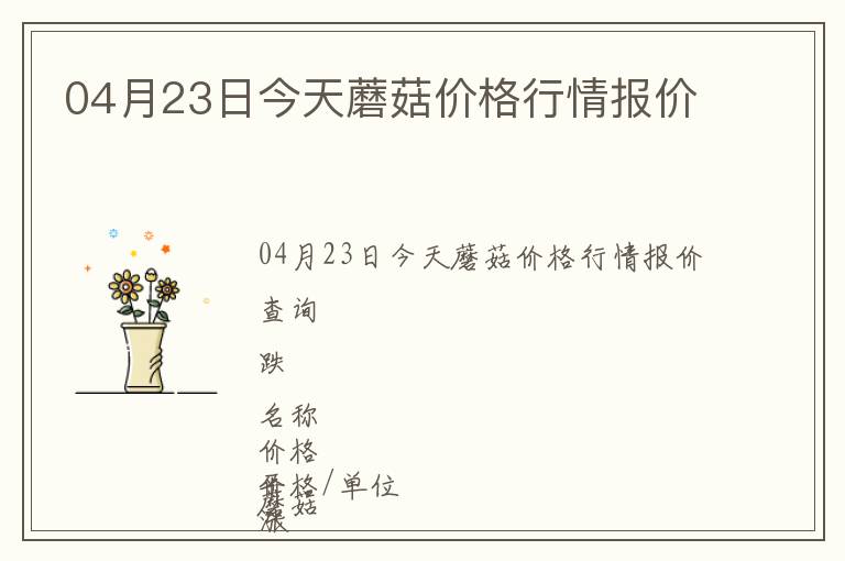 04月23日今天蘑菇價格行情報價