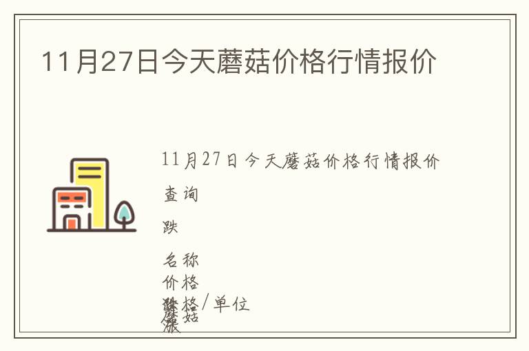 11月27日今天蘑菇價格行情報價