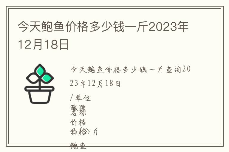 今天鮑魚價格多少錢一斤2023年12月18日