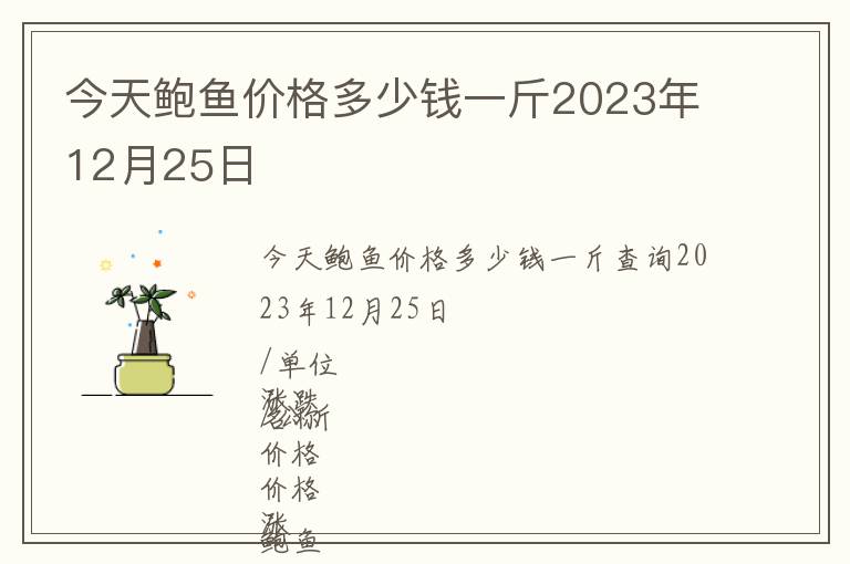 今天鮑魚價格多少錢一斤2023年12月25日
