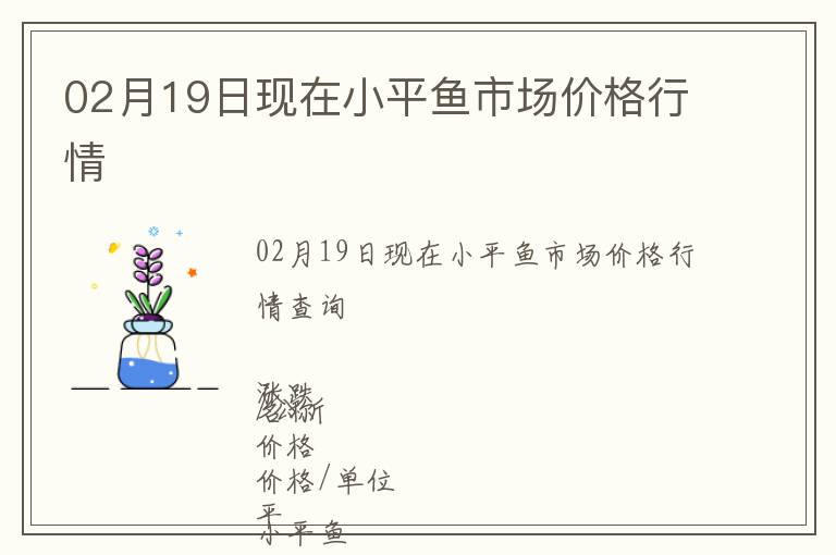 02月19日現在小平魚市場價格行情