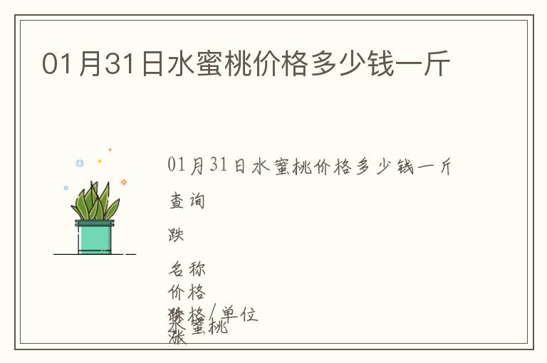 01月31日水蜜桃價格多少錢一斤