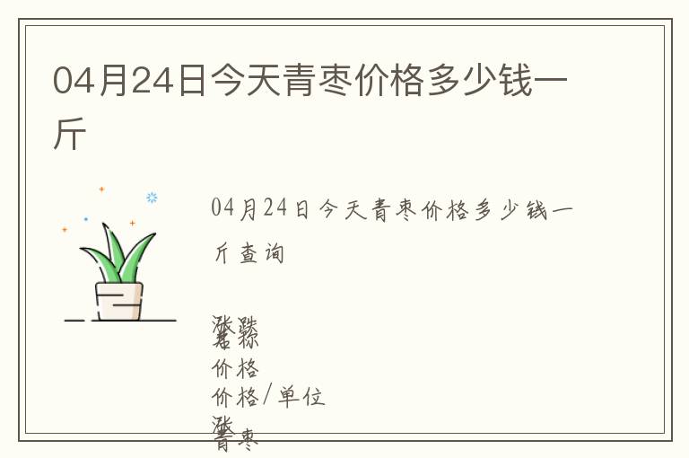 04月24日今天青棗價格多少錢一斤