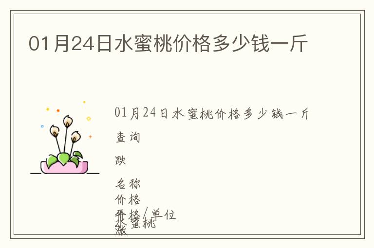 01月24日水蜜桃價格多少錢一斤