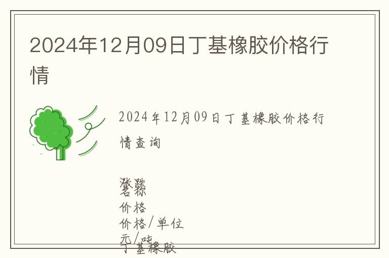 2024年12月09日丁基橡膠價格行情