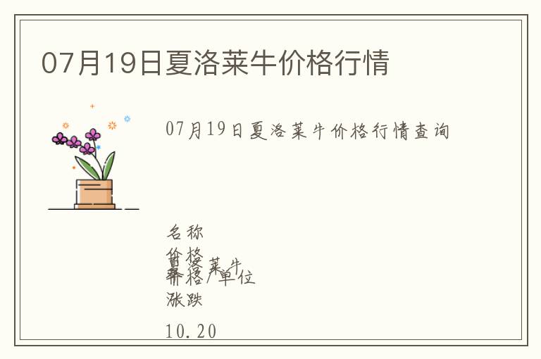 07月19日夏洛萊牛價格行情