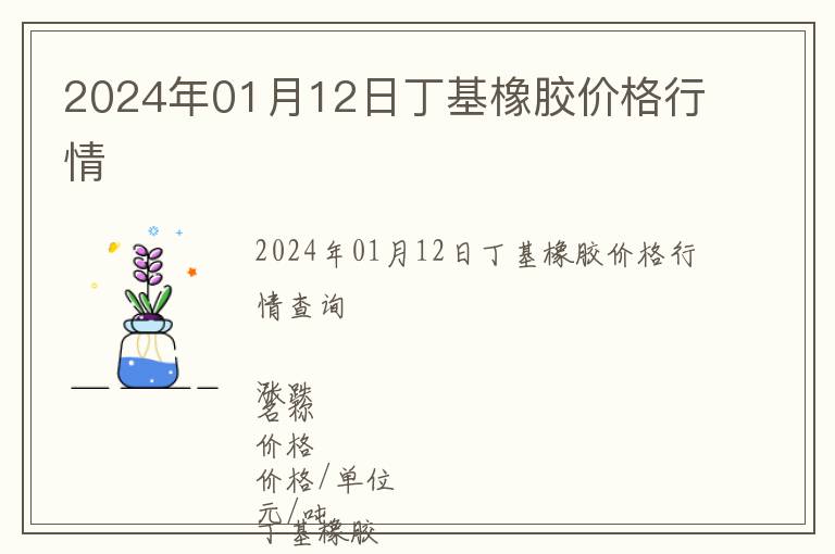 2024年01月12日丁基橡膠價格行情