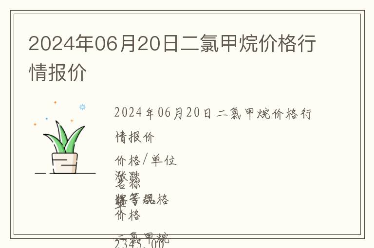 2024年06月20日二氯甲烷價格行情報價