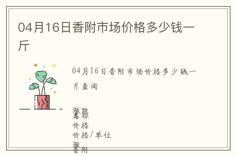 04月16日香附市場價格多少錢一斤