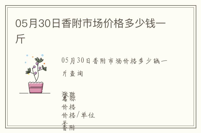 05月30日香附市場價格多少錢一斤