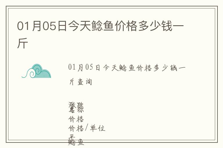 01月05日今天鯰魚價格多少錢一斤