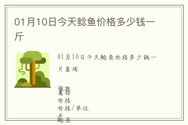 01月10日今天鯰魚價格多少錢一斤