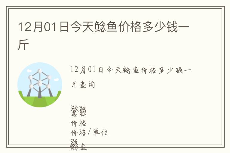 12月01日今天鯰魚價格多少錢一斤