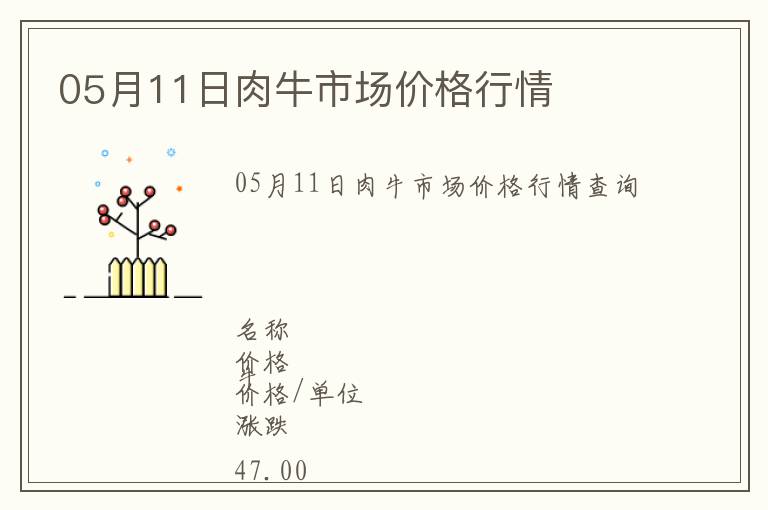05月11日肉牛市場價格行情