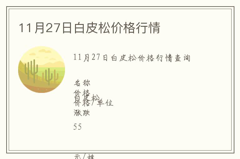 11月27日白皮松價格行情