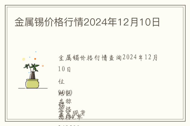金屬錫價格行情2024年12月10日