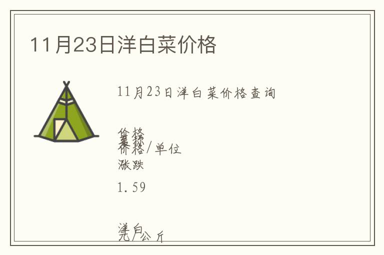 11月23日洋白菜價格