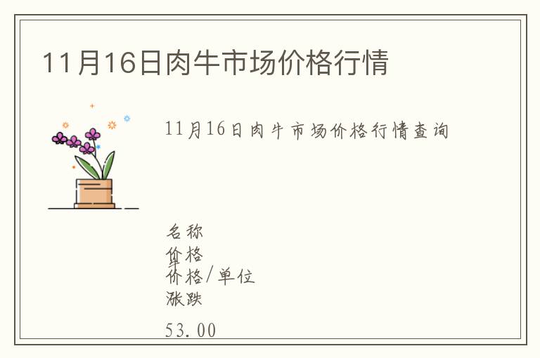 11月16日肉牛市場價格行情