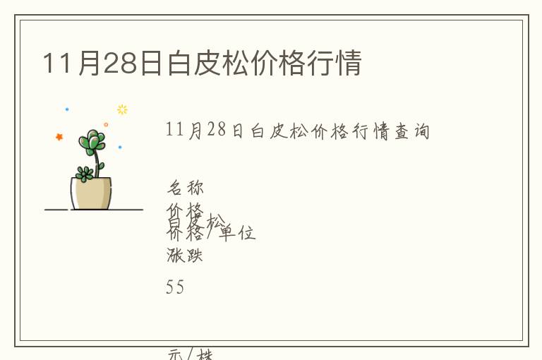 11月28日白皮松價(jià)格行情