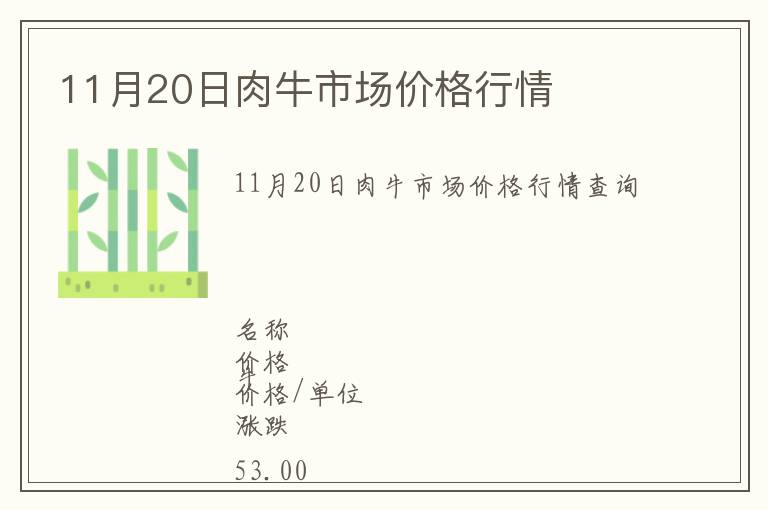 11月20日肉牛市場(chǎng)價(jià)格行情