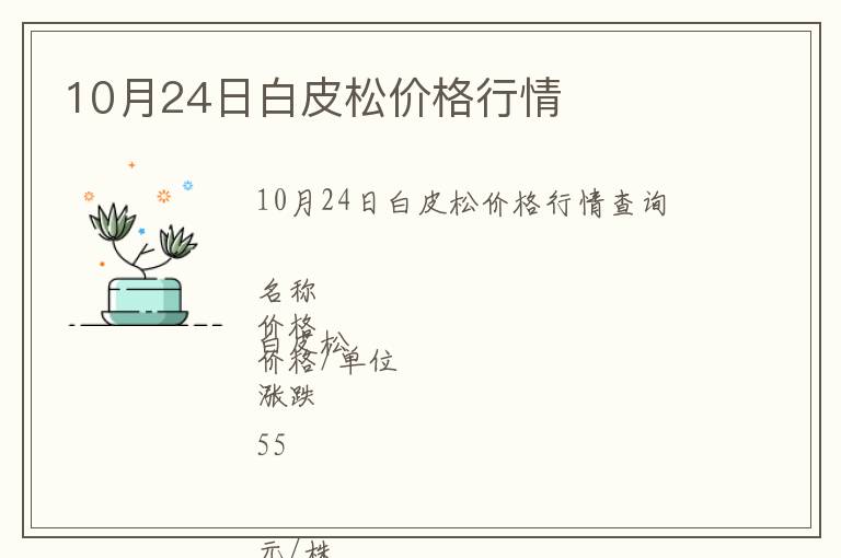 10月24日白皮松價格行情