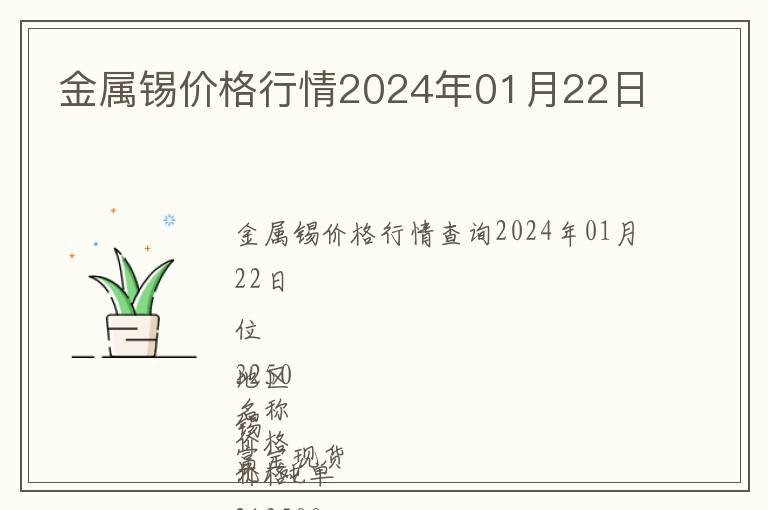 金屬錫價格行情2024年01月22日