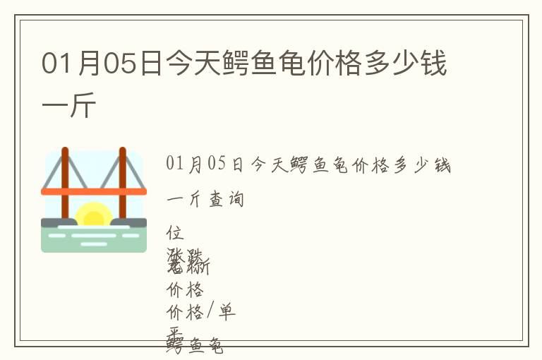 01月05日今天鱷魚龜價格多少錢一斤