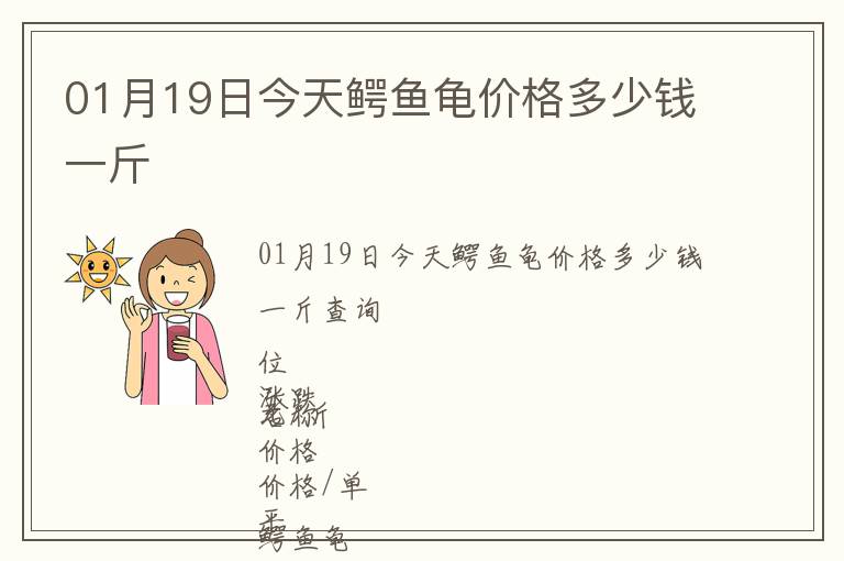 01月19日今天鱷魚龜價(jià)格多少錢一斤