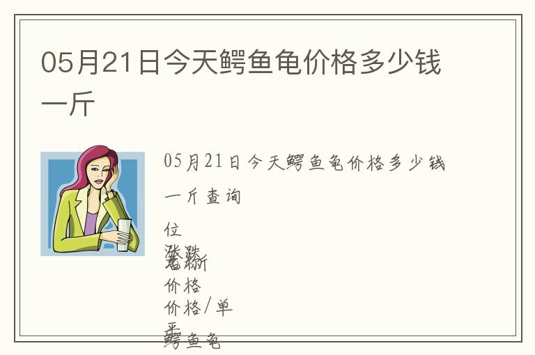 05月21日今天鱷魚龜價格多少錢一斤