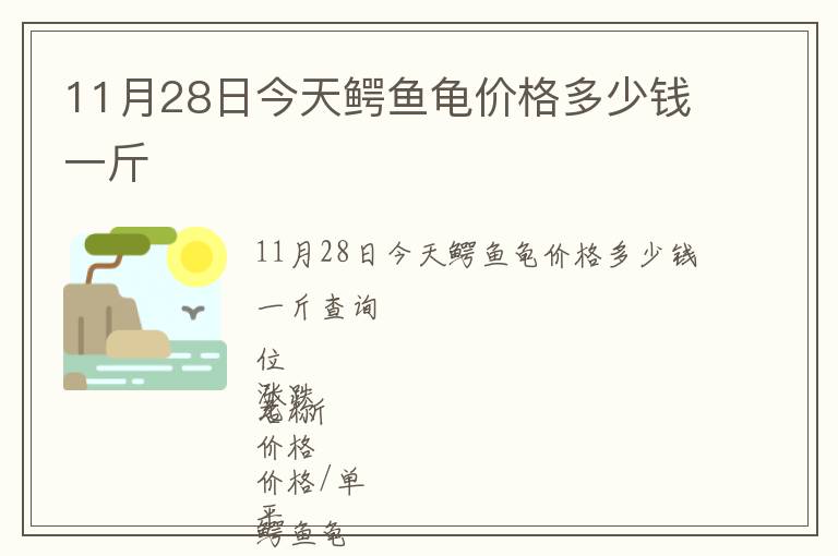 11月28日今天鱷魚(yú)龜價(jià)格多少錢(qián)一斤