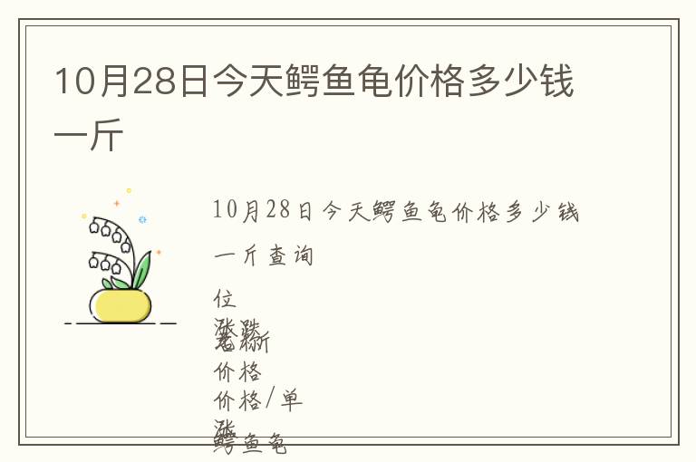10月28日今天鱷魚(yú)龜價(jià)格多少錢一斤