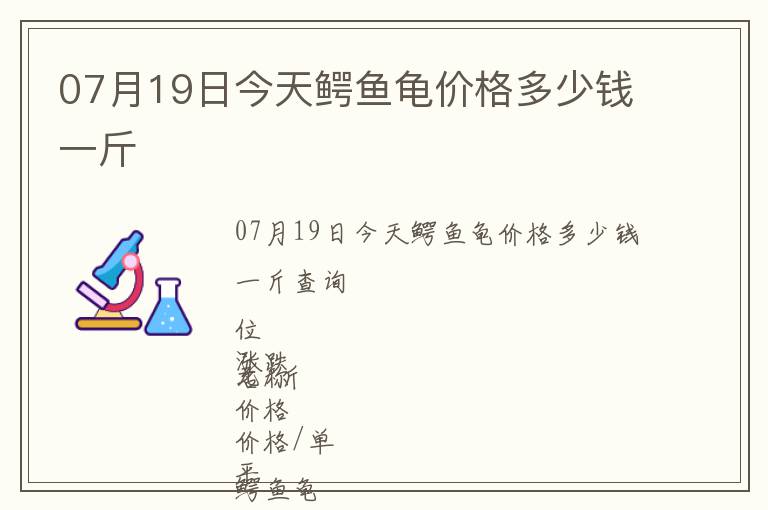 07月19日今天鱷魚龜價格多少錢一斤