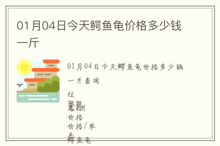 01月04日今天鱷魚龜價(jià)格多少錢一斤