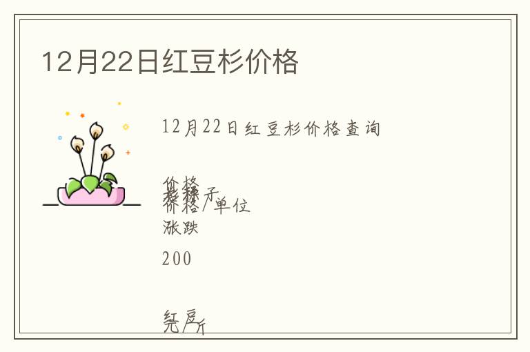 12月22日紅豆杉價格