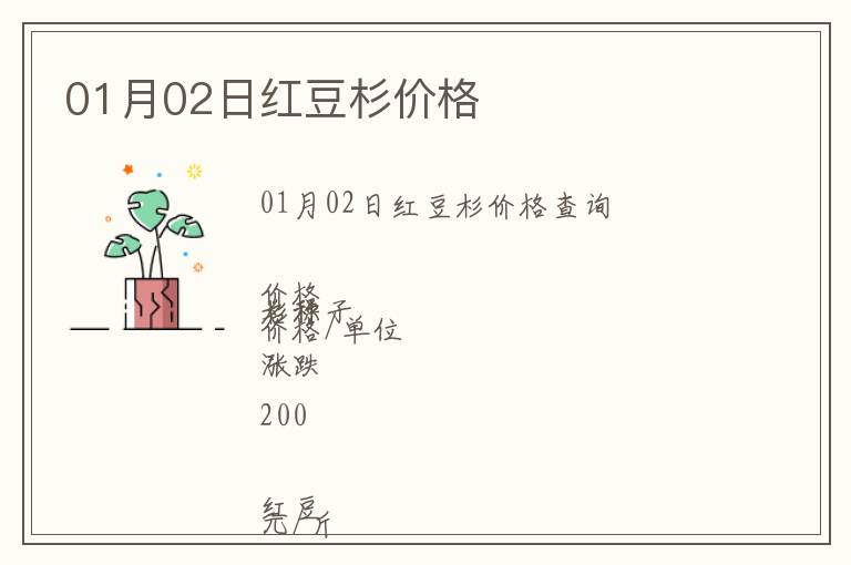 01月02日紅豆杉價格