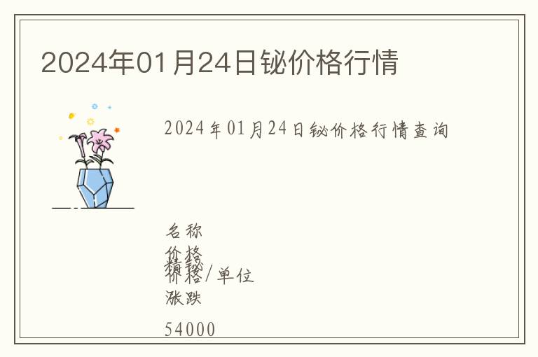 2024年01月24日鉍價格行情
