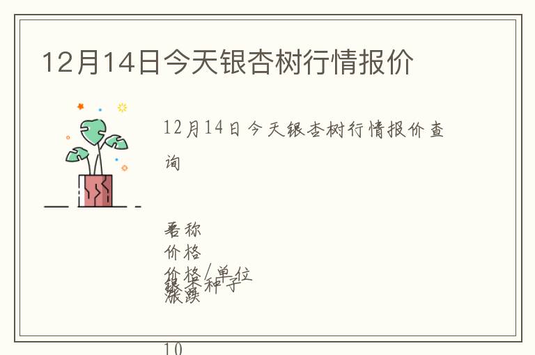 12月14日今天銀杏樹行情報(bào)價(jià)