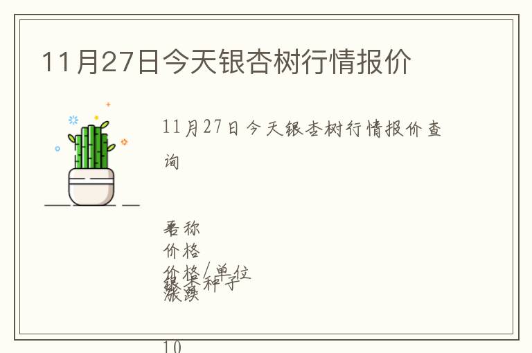 11月27日今天銀杏樹行情報價