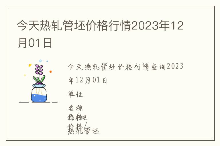 今天熱軋管坯價格行情2023年12月01日
