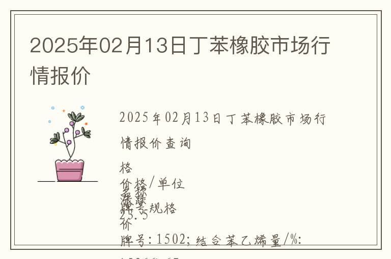 2025年02月13日丁苯橡膠市場行情報價
