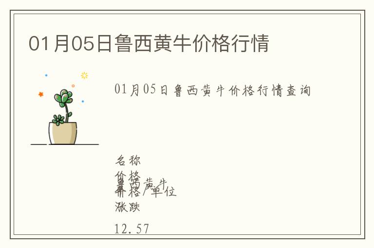 01月05日魯西黃牛價格行情