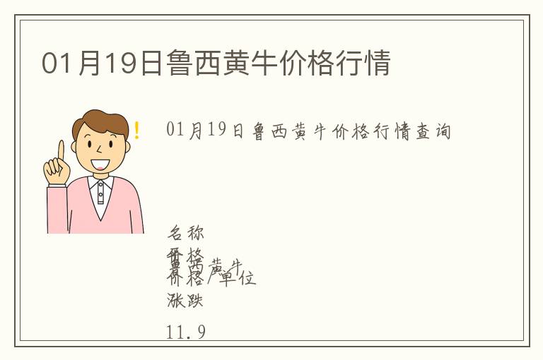 01月19日魯西黃牛價格行情
