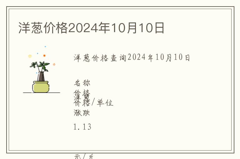 洋蔥價格2024年10月10日