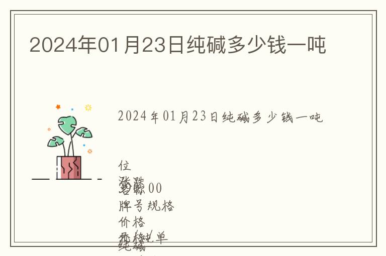 2024年01月23日純堿多少錢一噸