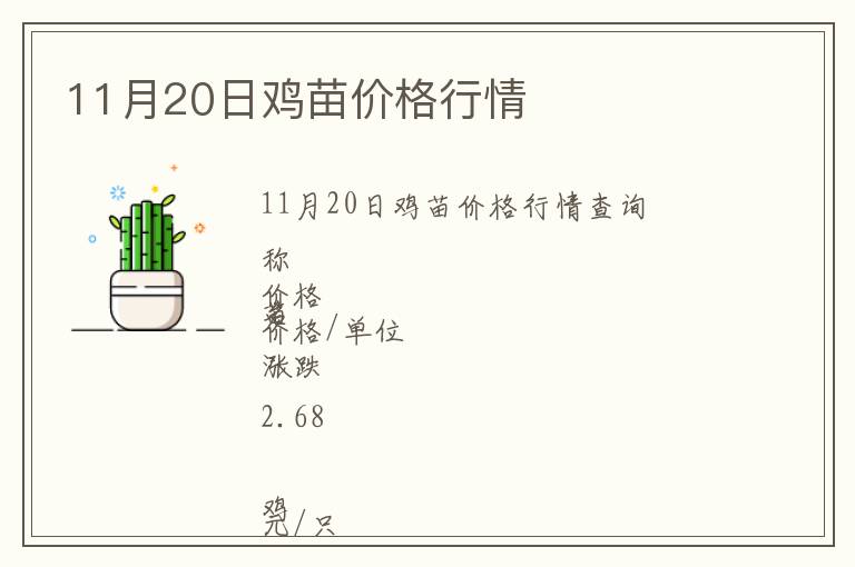 11月20日雞苗價格行情