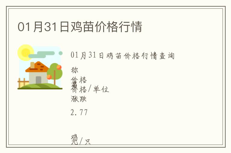 01月31日雞苗價格行情